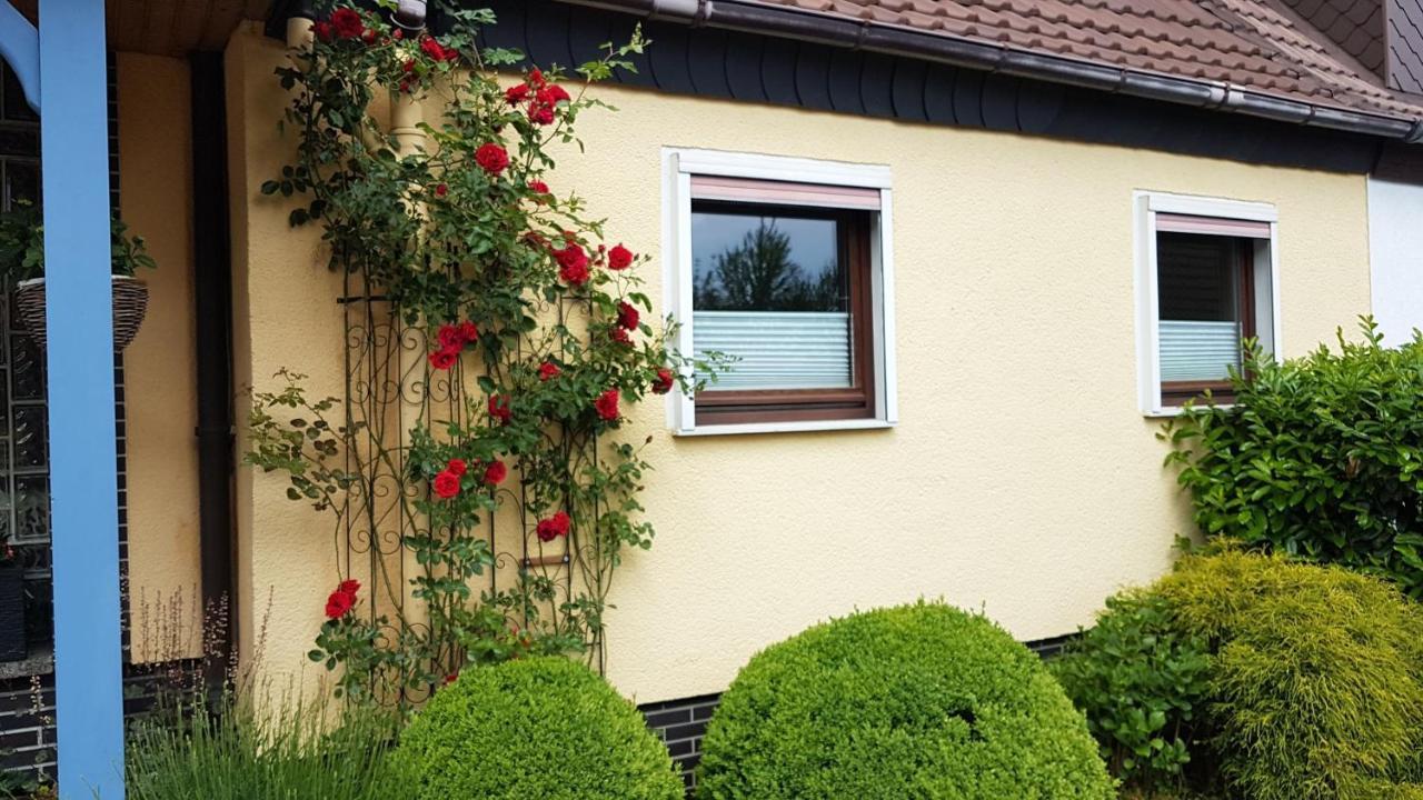 Ferienwohnung In Gartenlandschaft Kassel Exteriér fotografie